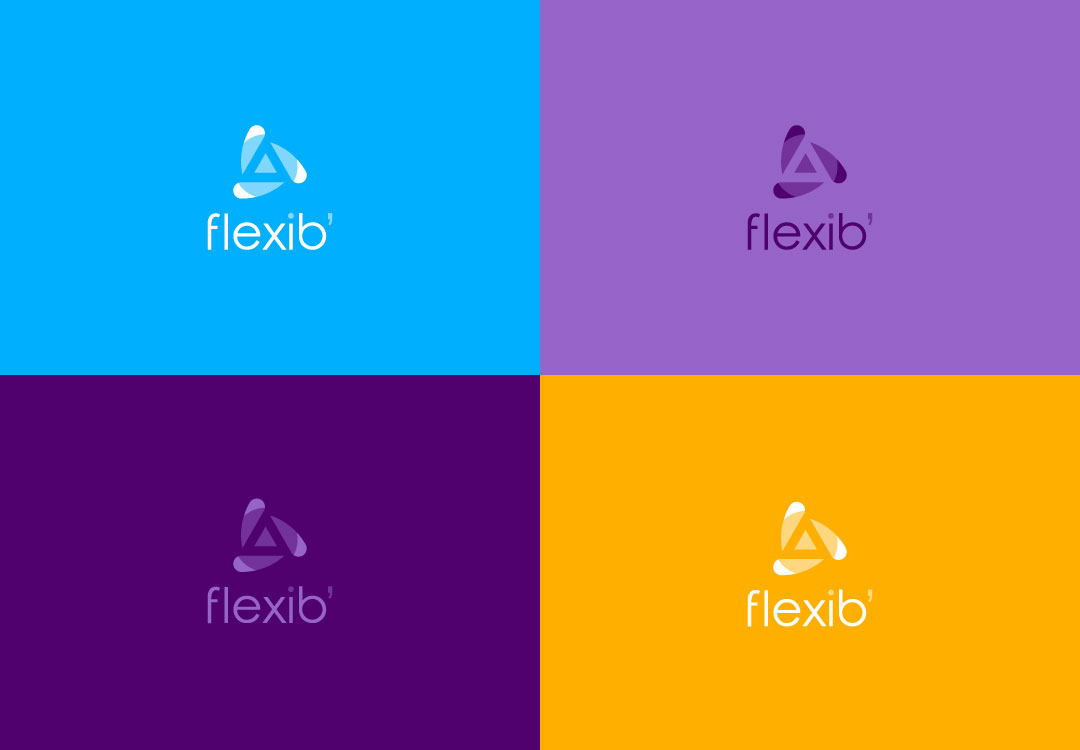 Logo Flexib’ à Voiron fond couleur