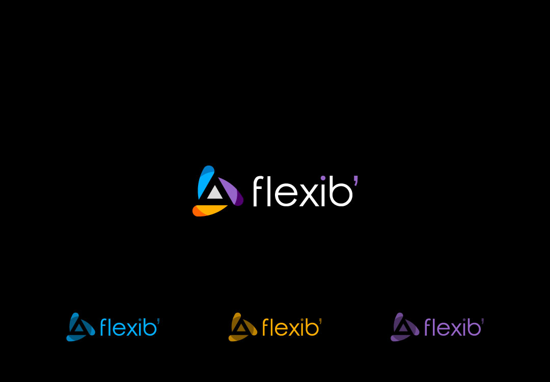 Logo Flexib’ à Voiron fond noir