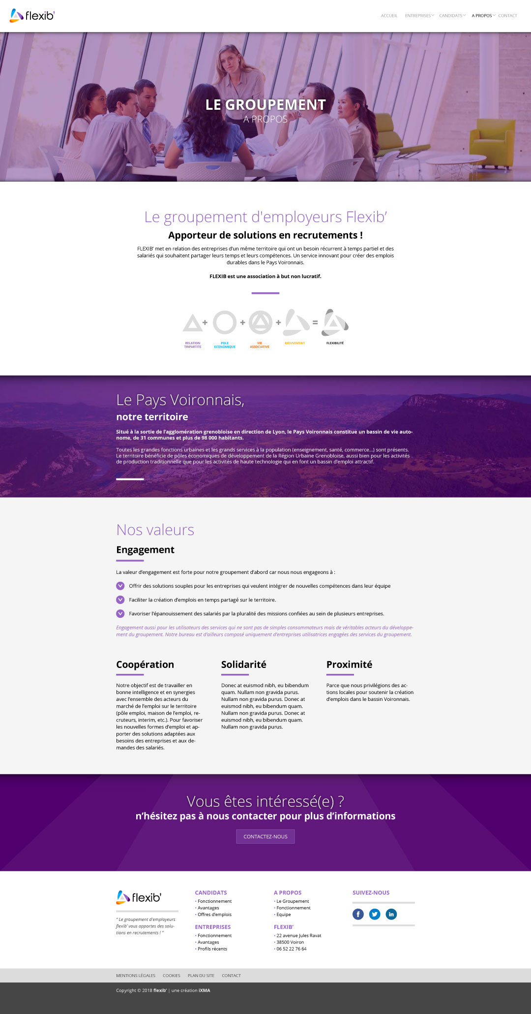 Design web template Flexib’ à Voiron 